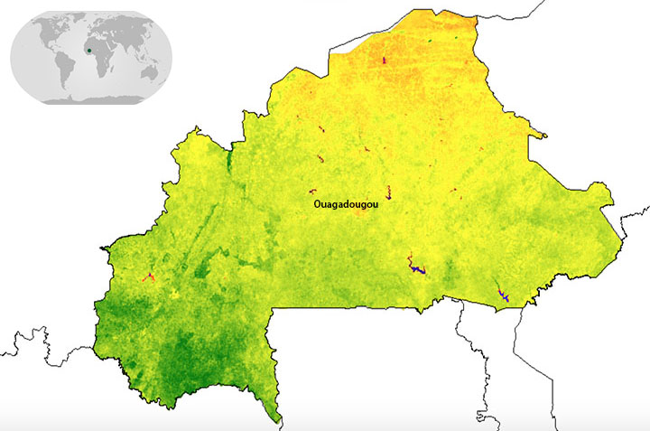 Normalized Difference Vegetation Index derived from 2019 Landsat-8 imagery