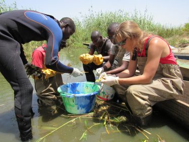 Precision mapping with satellite, drone photos could help predict infections of a widespread tropical disease