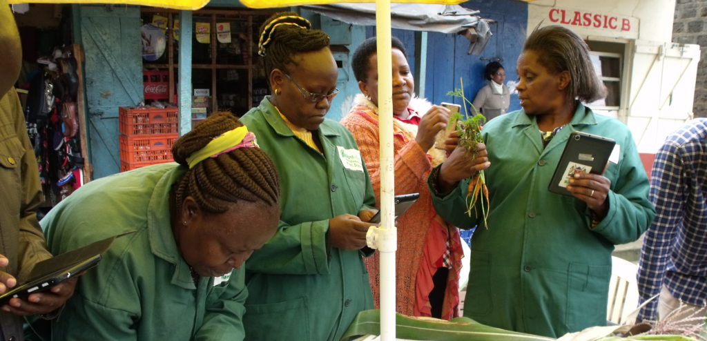 Satellite Pest Monitoring Kenya