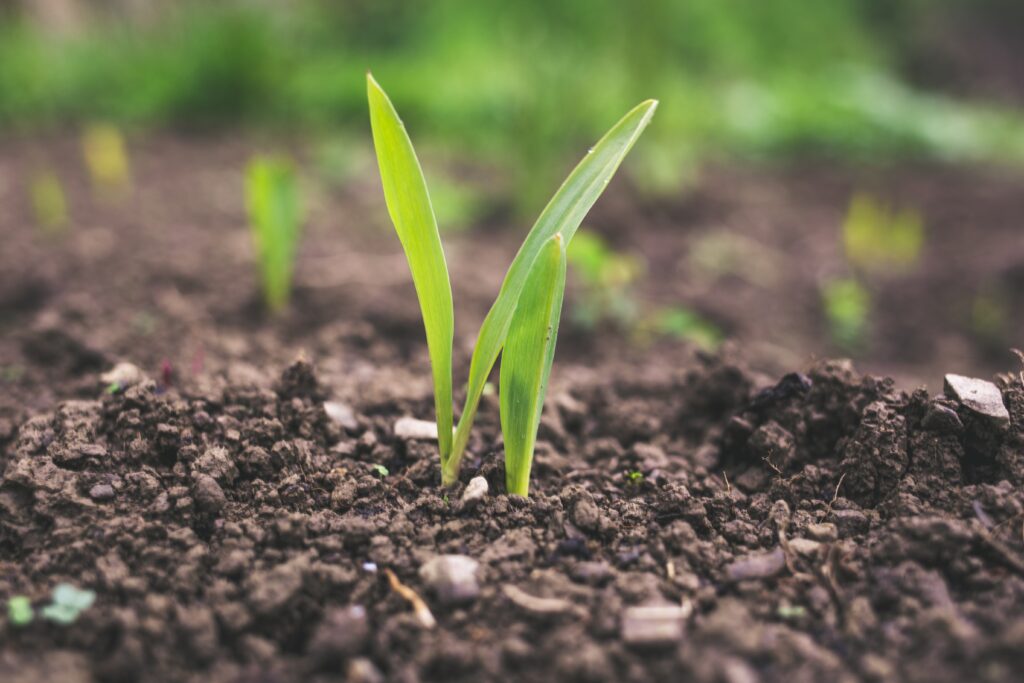 How Ghana-based Grow for Me Is Using Satellite Imageries To Scale Its Crowdfunding Platform